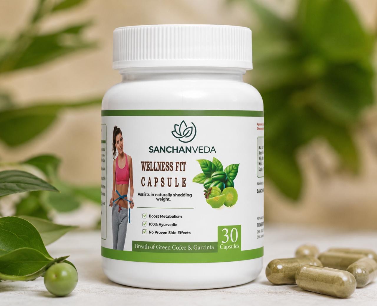 Wellness Fit